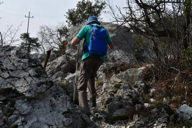 Hiking Gear 101: What You Need to Conquer Any Trail